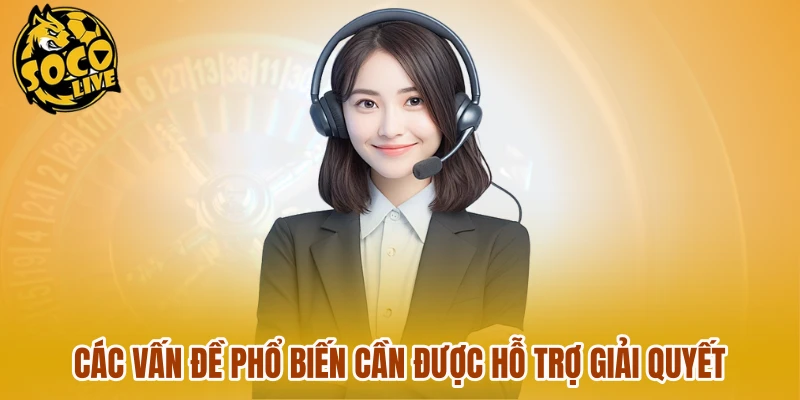 Các vấn đề phổ biến cần được hỗ trợ giải quyết