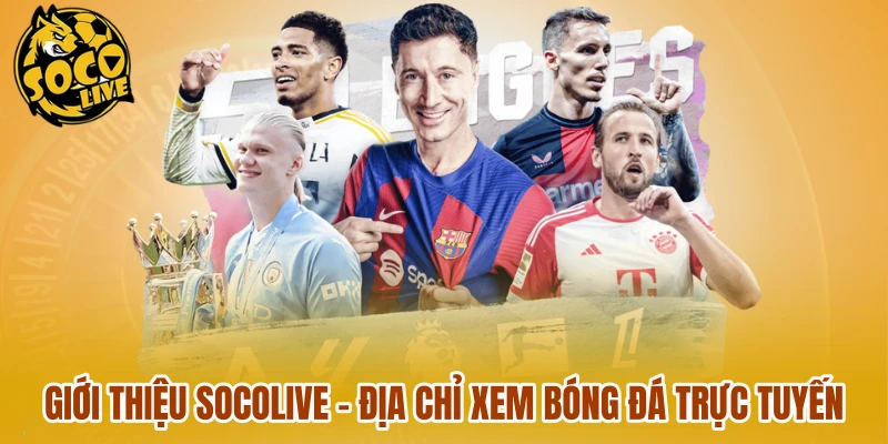 Giới Thiệu Socolive - Địa Chỉ Xem Bóng Đá Trực Tuyến