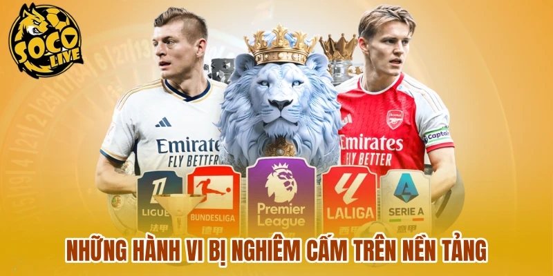 Những hành vi bị nghiêm cấm trên nền tảng