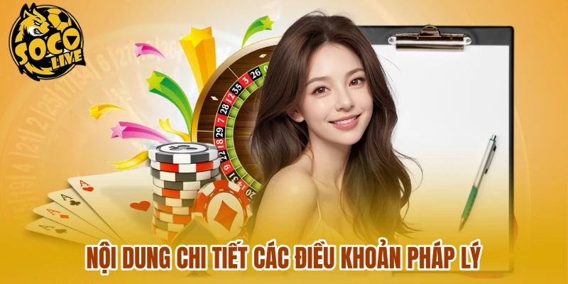 Nội dung chi tiết các điều khoản pháp lý