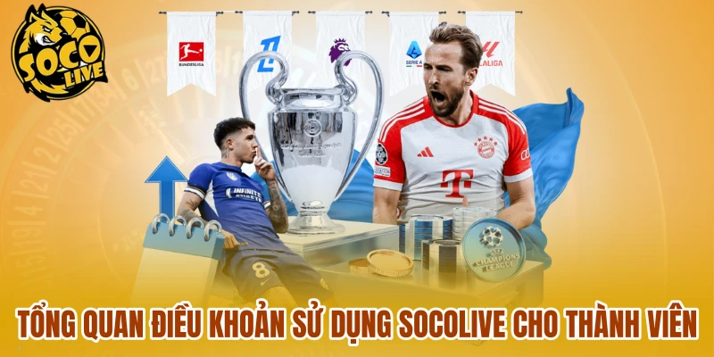 Tổng quan điều khoản sử dụng Socolive cho thành viên