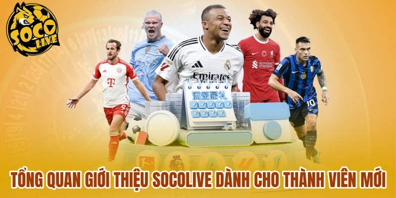 Tổng quan giới thiệu Socolive dành cho thành viên mới